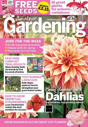 Amateur Gardening September 9th, 2023 Digital Back Issue Cover