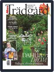 Allers Trädgård (Digital) Subscription                    October 1st, 2023 Issue