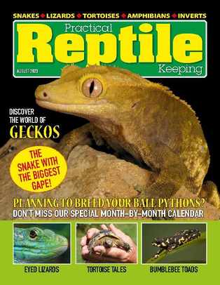 Ball Python Care Sheet - Reptiles Magazine