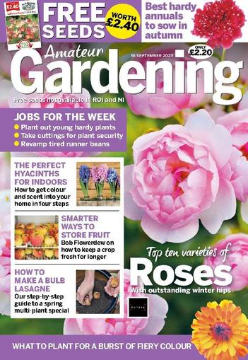 Amateur Gardening September 16th, 2023 Digital Back Issue Cover