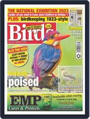 Cage & Aviary Birds (Digital) Subscription                    September 13th, 2023 Issue