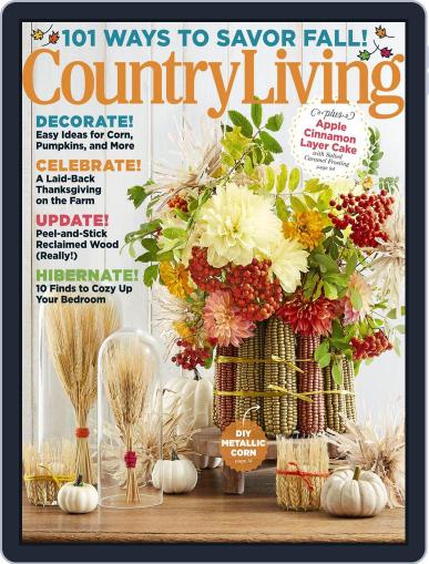 Country Living November 1st, 2017 Digital Back Issue Cover