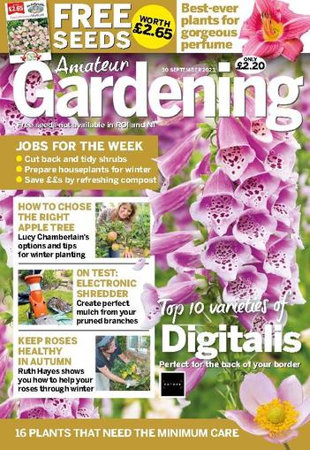 Amateur Gardening September 30th, 2023 Digital Back Issue Cover