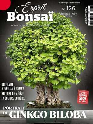 Fertilisation des bonsaïs - Société de bonsaï et de penjing de