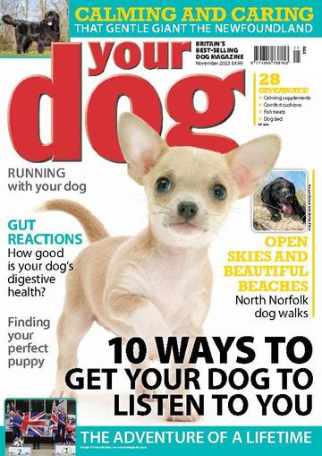 Your Dog November 1st, 2023 Digital Back Issue Cover