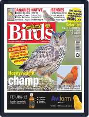 Cage & Aviary Birds (Digital) Subscription                    October 11th, 2023 Issue