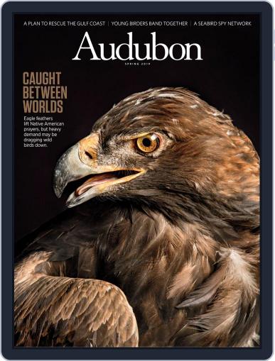 Audubon March 18th, 2019 Digital Back Issue Cover