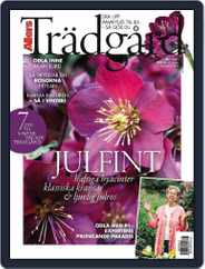 Allers Trädgård (Digital) Subscription                    November 1st, 2023 Issue