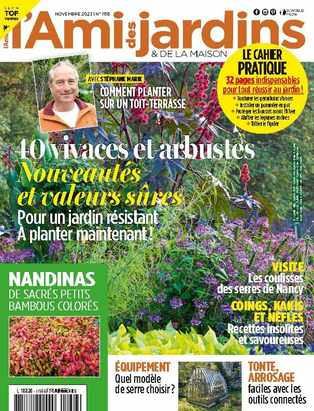 Page 3  Photos Arriere Plans Naturels Plantes Succulentes, 90 000