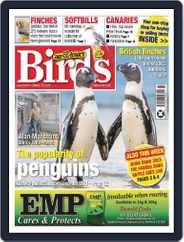Cage & Aviary Birds (Digital) Subscription                    October 25th, 2023 Issue
