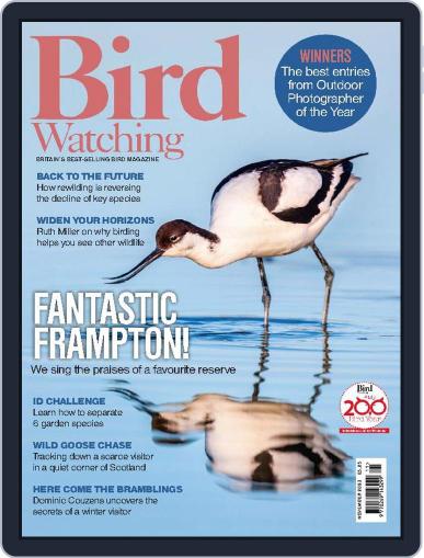 Bird Watching November 1st, 2023 Digital Back Issue Cover