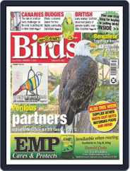 Cage & Aviary Birds (Digital) Subscription                    November 1st, 2023 Issue