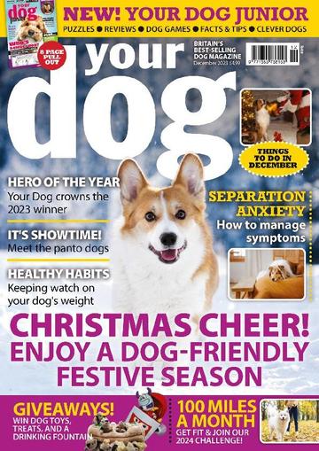 Your Dog December 1st, 2023 Digital Back Issue Cover