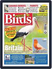 Cage & Aviary Birds (Digital) Subscription                    November 8th, 2023 Issue