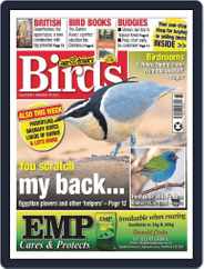 Cage & Aviary Birds (Digital) Subscription                    November 15th, 2023 Issue