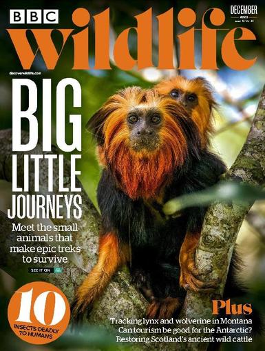 Bbc Wildlife December 1st, 2023 Digital Back Issue Cover