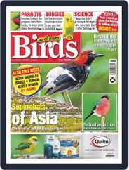 Cage & Aviary Birds (Digital) Subscription                    November 22nd, 2023 Issue