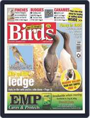 Cage & Aviary Birds (Digital) Subscription                    December 6th, 2023 Issue