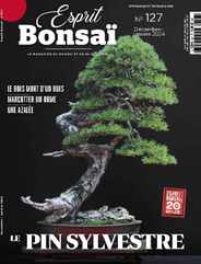 Esprit Bonsai (Digital) Subscription                    December 1st, 2023 Issue