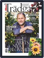 Allers Trädgård (Digital) Subscription                    December 1st, 2023 Issue