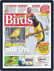 Cage & Aviary Birds (Digital) Subscription                    December 13th, 2023 Issue