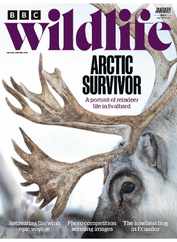 Bbc Wildlife (Digital) Subscription                    January 1st, 2024 Issue