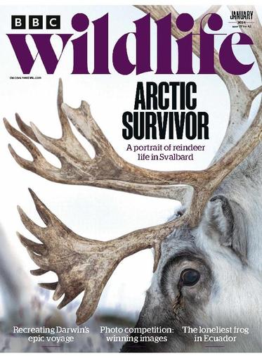 Bbc Wildlife January 1st, 2024 Digital Back Issue Cover