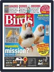 Cage & Aviary Birds (Digital) Subscription                    January 17th, 2024 Issue