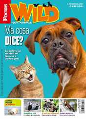 Focus Wild (Digital) Subscription                    February 1st, 2024 Issue