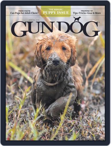Gun Dog March 1st, 2024 Digital Back Issue Cover