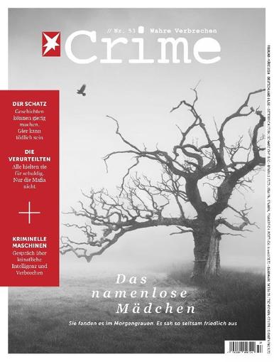 stern Crime February 1st, 2024 Digital Back Issue Cover