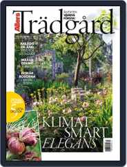 Allers Trädgård (Digital) Subscription                    February 1st, 2024 Issue