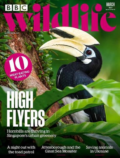 Bbc Wildlife March 1st, 2024 Digital Back Issue Cover