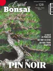 Esprit Bonsai (Digital) Subscription                    February 1st, 2024 Issue