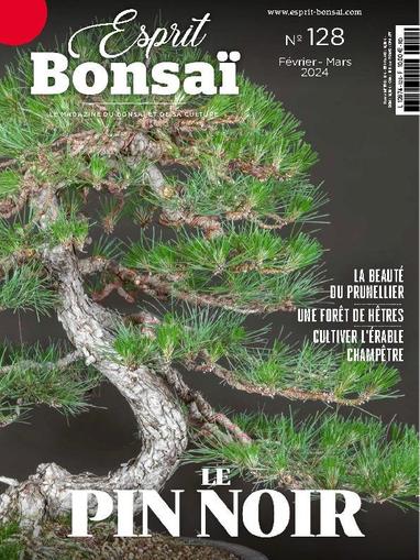 Esprit Bonsai February 1st, 2024 Digital Back Issue Cover