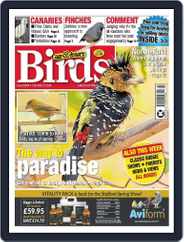 Cage & Aviary Birds (Digital) Subscription                    February 21st, 2024 Issue