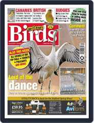 Cage & Aviary Birds (Digital) Subscription                    February 28th, 2024 Issue