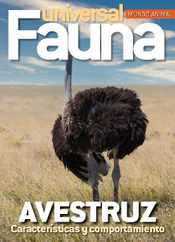 Fauna Universal (Digital) Subscription                    February 15th, 2024 Issue