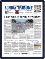 Sunday Tribune (Digital) Subscription                    March 3rd, 2024 Issue