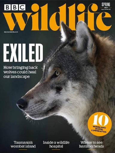 Bbc Wildlife March 7th, 2024 Digital Back Issue Cover