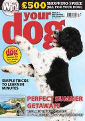 Your Dog (Digital) Subscription                    April 1st, 2024 Issue