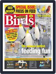 Cage & Aviary Birds (Digital) Subscription                    March 13th, 2024 Issue