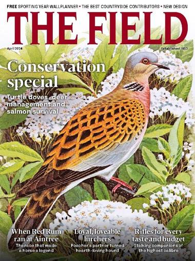 The Field April 1st, 2024 Digital Back Issue Cover