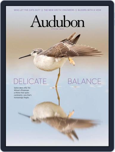 Audubon March 18th, 2024 Digital Back Issue Cover