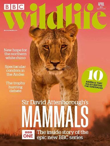 Bbc Wildlife April 1st, 2024 Digital Back Issue Cover