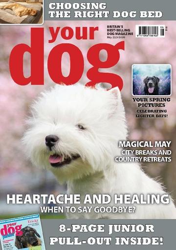 Your Dog May 1st, 2024 Digital Back Issue Cover