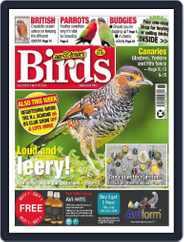 Cage & Aviary Birds (Digital) Subscription                    April 10th, 2024 Issue