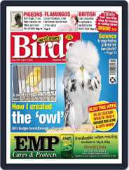 Cage & Aviary Birds (Digital) Subscription                    April 17th, 2024 Issue