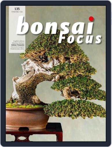 Bonsai Focus Fr Digital Back Issue Cover
