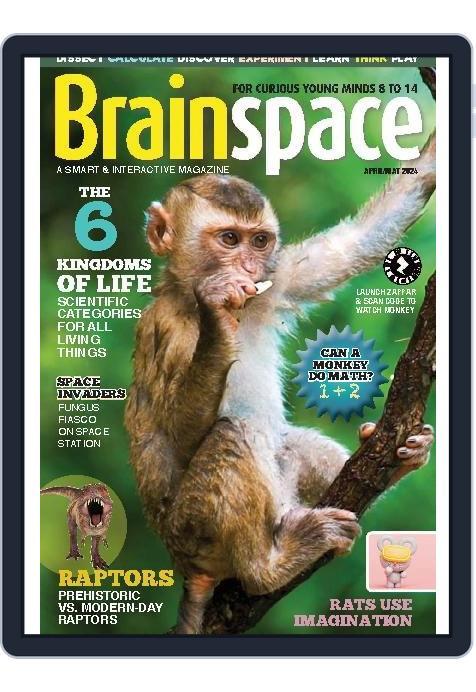 Brainspace (Digital) Subscription                    April 1st, 2024 Issue